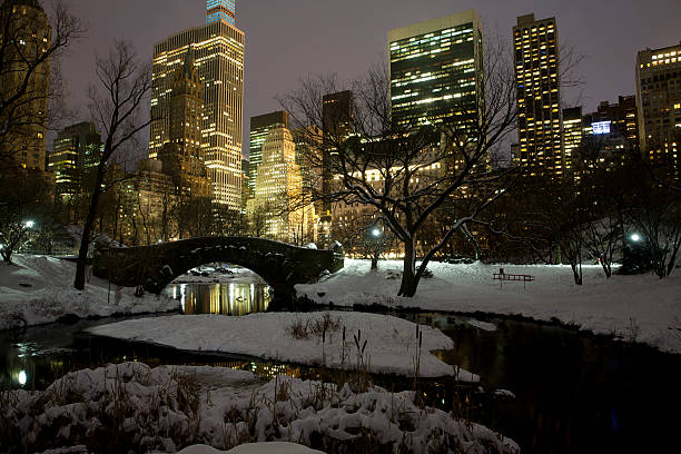 istock Central park in New York City 536313979