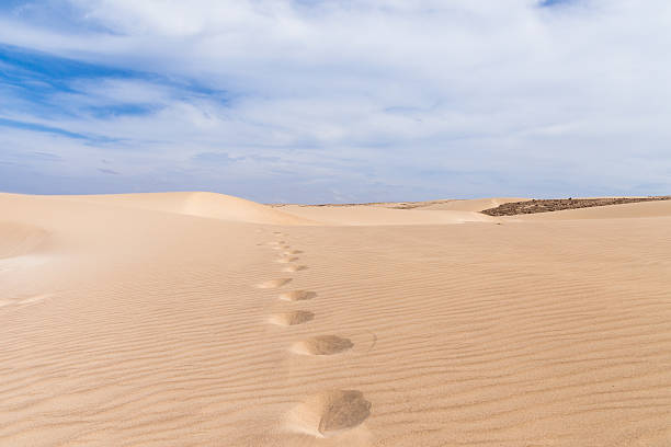 istock Sand dunes in Boavista desert, Cape Verde 536315135