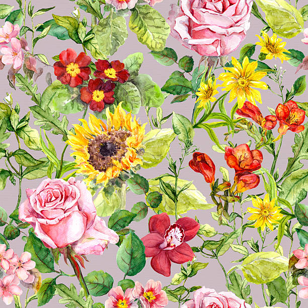 illustrazioni stock, clip art, cartoni animati e icone di tendenza di prato con fiori, estate erbe aromatiche. ripetere sfondo floreale vintage. acquerello - sunflower elegance messy flower