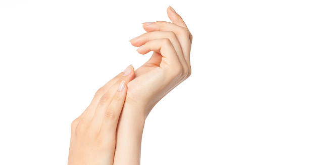 woman beauty hands stock photo