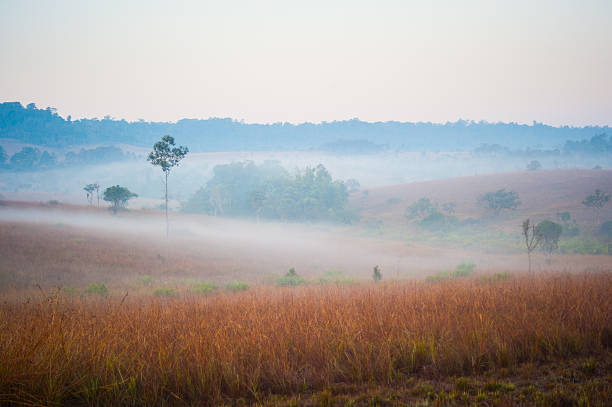 Prairie in national park.