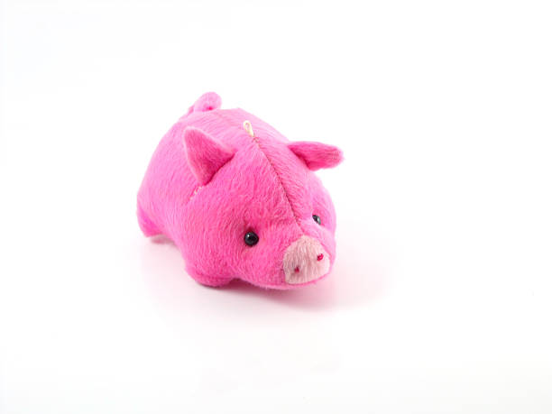 istock cute pink pig doll isolated on white background 536352159