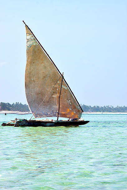 istock beach   in zanzibar seaweed 536352689