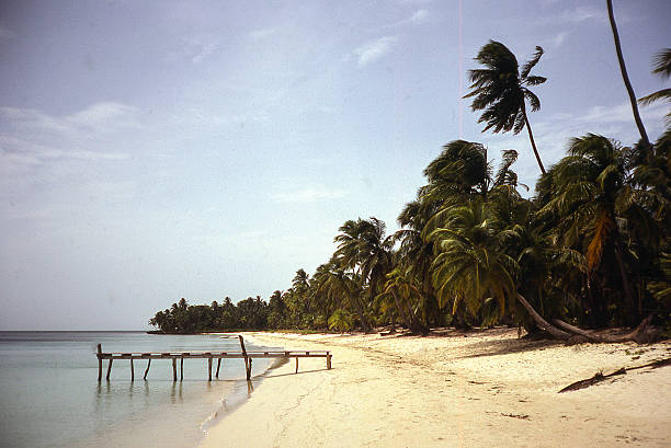 Lonely pier on Peaceful Caribbean Sandy Beach Roatan Honduras