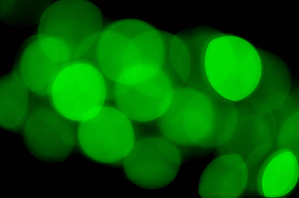 istock Green bokeh color abstract background 536354323