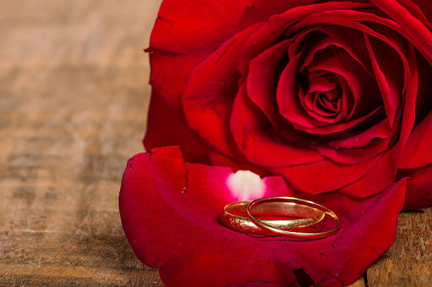 istock Red rose petal with gold rings 536355775