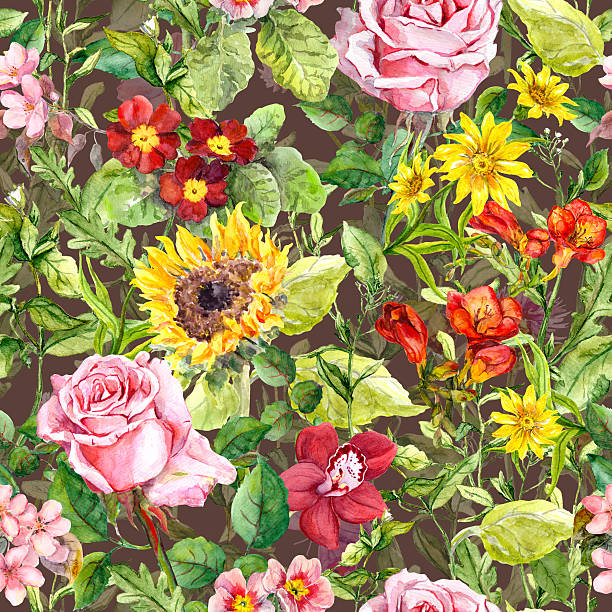 원활한 플로럴 및 약초 패턴, 워터컬러 - sunflower elegance messy flower stock illustrations