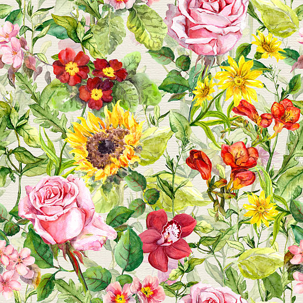 메도 꽃, 현장 허브. 빈티지 원활한 꽃 패턴. 워터컬러 - sunflower elegance messy flower stock illustrations