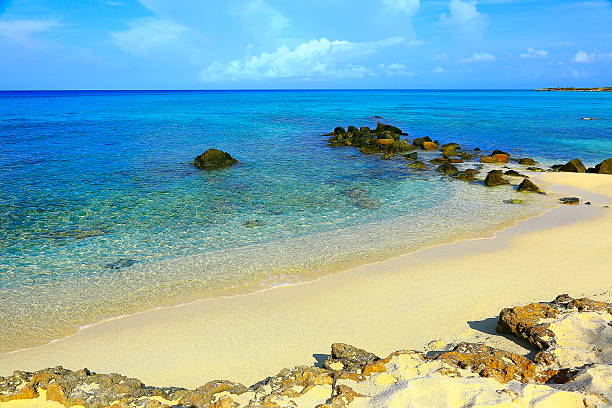 istock Tropical paradise: snorkeling at turquoise caribbean Sandy beach, Aruba, Antilles 536381136