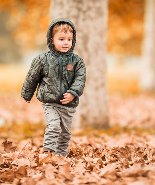 istock Little boy in autumn. 536402277