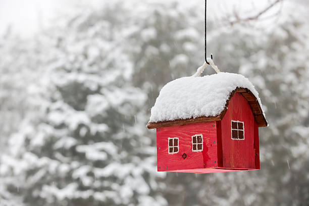 Bird house with snow in winter Red bird house hanging outdoors in winter covered with snow nesting box stock pictures, royalty-free photos & images