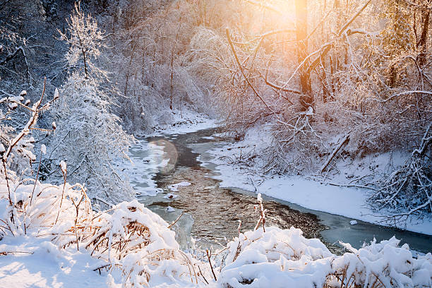 istock Forest creek after winter storm 536402875