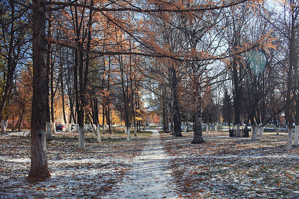 istock Autumn Snow Park USA 536402987