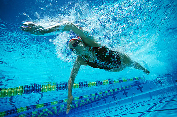 istock Female Swimmer Swimming In Pool 536403749