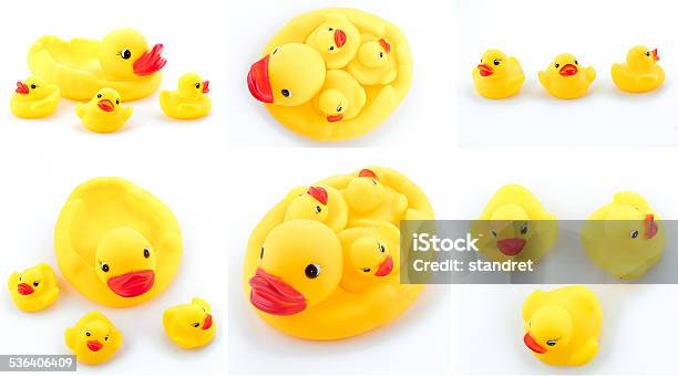 Rubber Ducks Stock Photo - Download Image Now - 2015, Animal, Bathtub