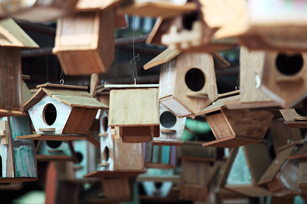 istock wooden bird house 536406843
