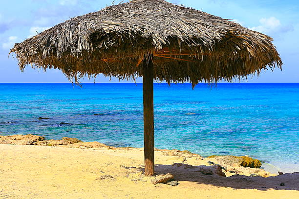 istock Tropical paradise: palapa resting, turquoise caribbean beach sunrise, Aruba, Antilles 536430832