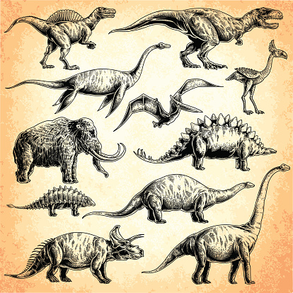 set of dinosaurs. T-rex, stegosaurus, triceratops, Apatosaurus, Tyrannosaurus, euoplocephalus, spinosaurus, elasmosaurus, Plesiosauria, mammoth, Pterodactylus.