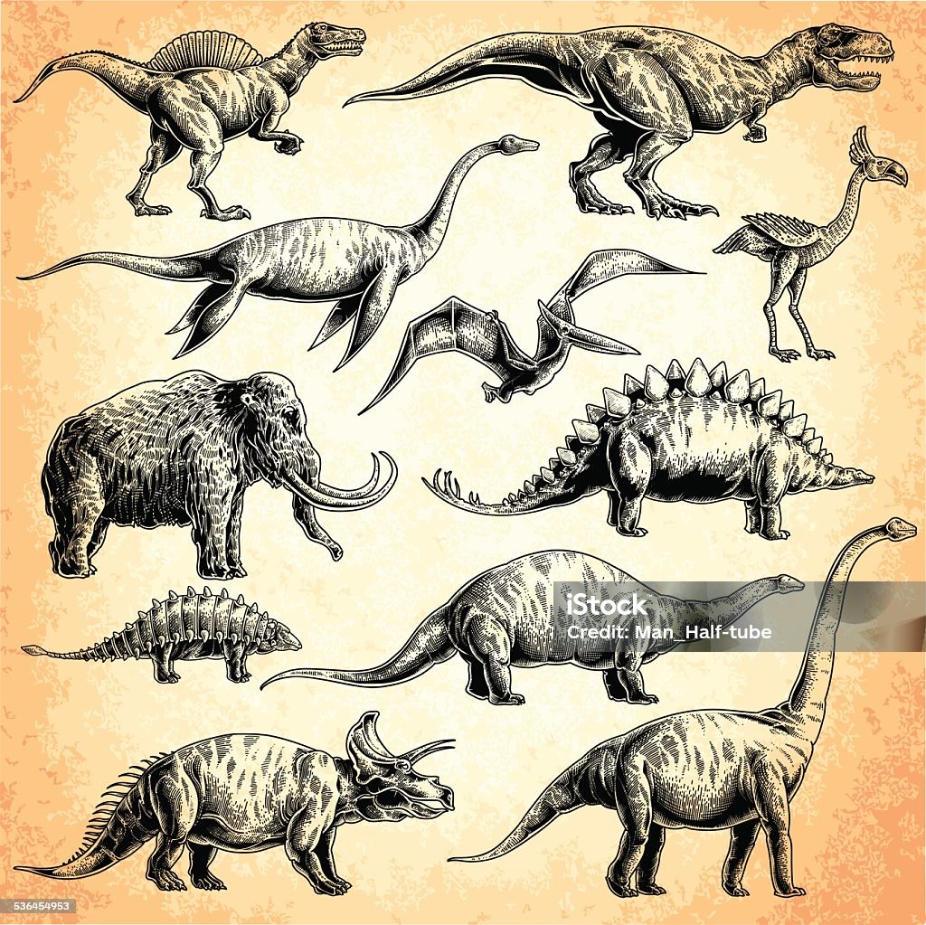 dinosaurs set set of dinosaurs. T-rex, stegosaurus, triceratops, Apatosaurus, Tyrannosaurus, euoplocephalus, spinosaurus, elasmosaurus, Plesiosauria, mammoth, Pterodactylus. Dinosaur stock vector