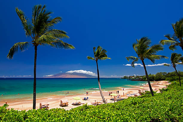 maluaka beach, south maui, hawaii, stati uniti - maui beach palm tree island foto e immagini stock