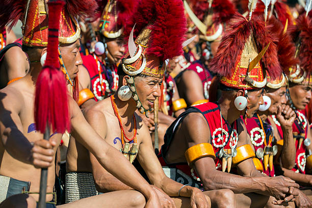 calau festival na índia. - bucerotidae - fotografias e filmes do acervo