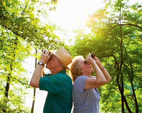 Senior couple looking thru binoculars while in the forest.