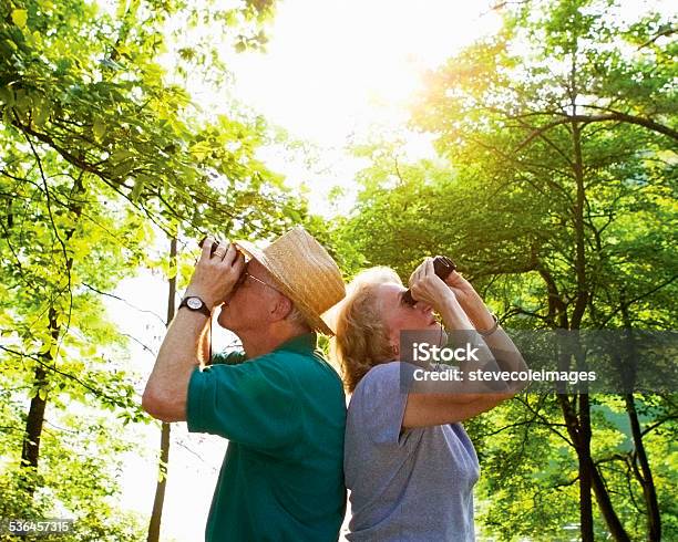 Seniors Bird Watching Stock Photo - Download Image Now - Bird Watching, Binoculars, Senior Adult