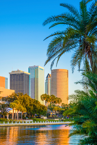 Tampa Florida, skyline at sunset, skyscrapers, cityscape, palm tree, copyspace, good compostition for vertical magazine or book cover