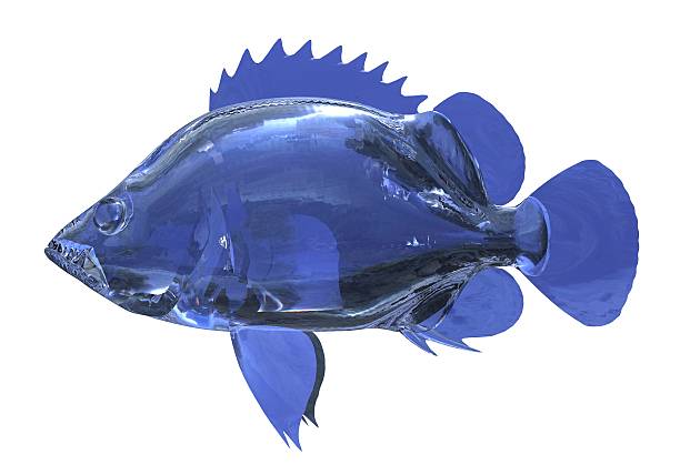 istock Glass fish isolated on white background 536463958