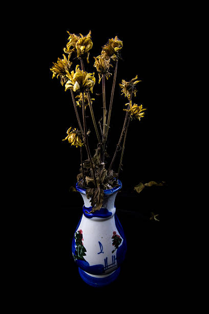 istock Dried flower in jar Dark style 536478622