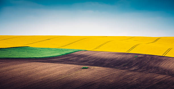 multicolore vue panoramique du champ de printemps - rolling landscape photos et images de collection