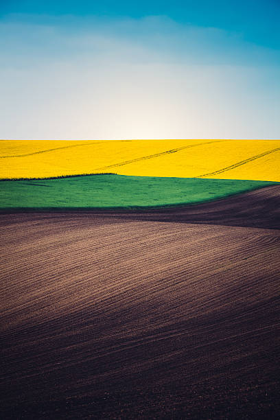 Layers Of Colorful Field Plowed field, green pasture and oilseed rape field with tractor traces. Four layers of colours: brown, green, yellow and blue. rolling field stock pictures, royalty-free photos & images