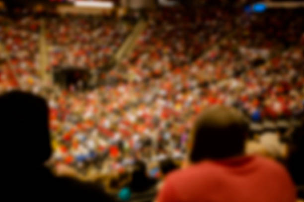 istock Large crowd of unrecognizable people attend entertainment event. Stadium. 536506319