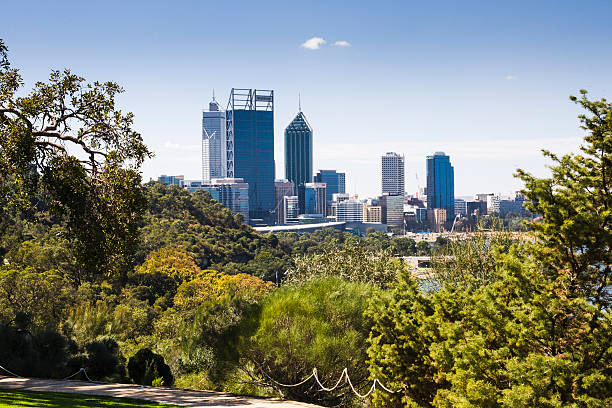 The high-rises of Perths Central Business District shot from the beautiful Kings Park in Western Australia.