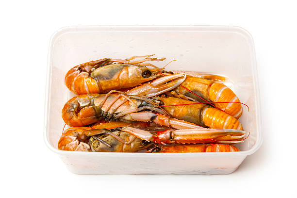 istock Box of langoustine isolated on a white studio background. 536508053