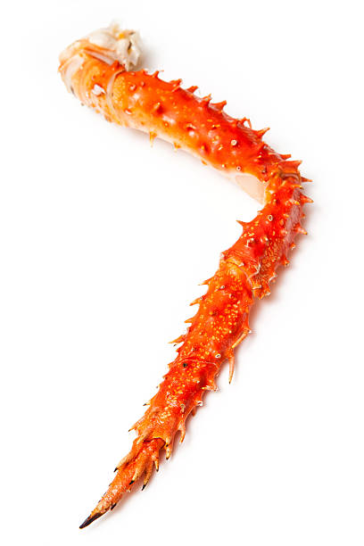 istock Peruvian King crab leg isolated on a white studio background. 536508213