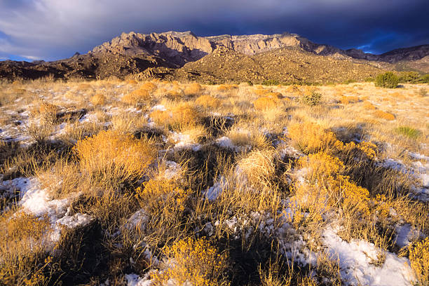 istock winter desert sunset landscape 536509101