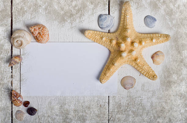 istock Card with Few marine items on a wooden background 536509143