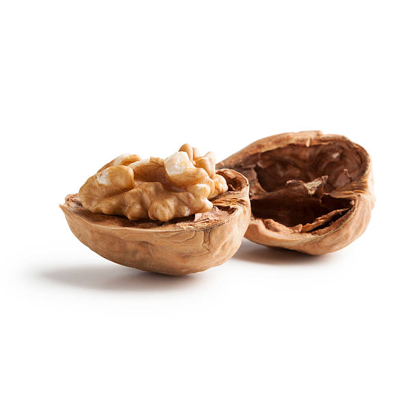 ナット：クルミのオープン - walnut pod nutshell cross section ストックフォトと画像