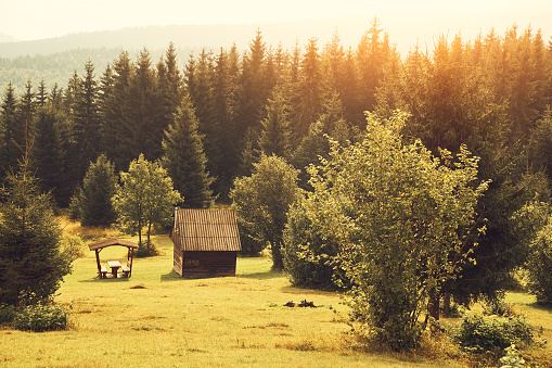 Cabin on the field