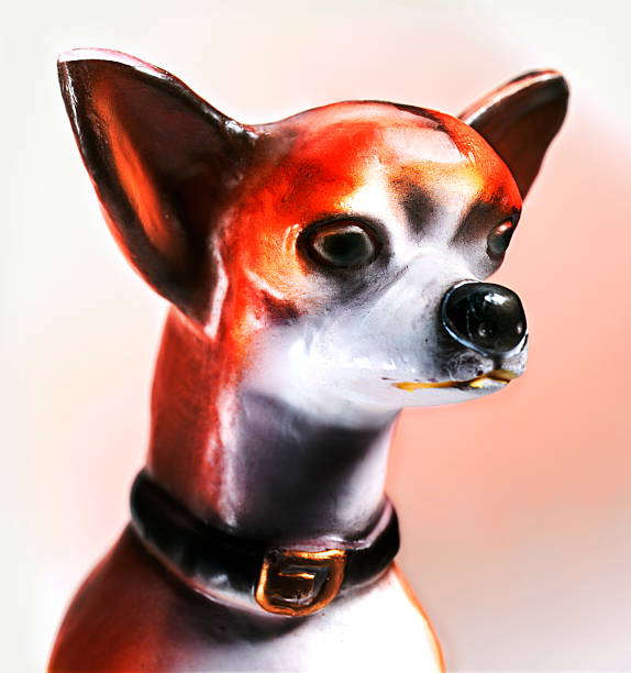 istock Chihuahua Dog 536511411