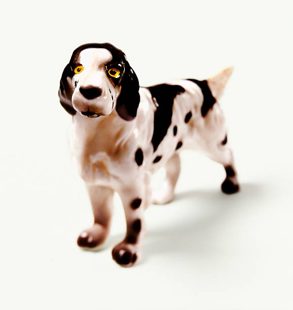 istock Black and White Hunting Dog 536511431