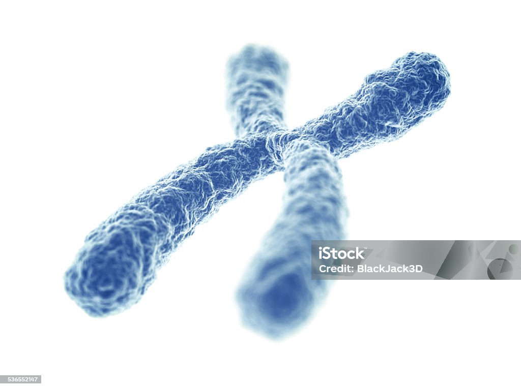 Chromosome Chromosome on white background. 3D render. Chromosome Stock Photo