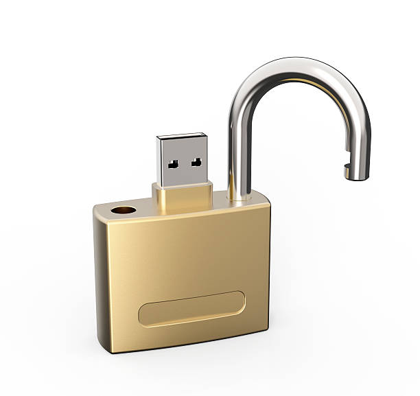 zamocować dysk usb data - encryption usb flash drive security system security zdjęcia i obrazy z banku zdjęć