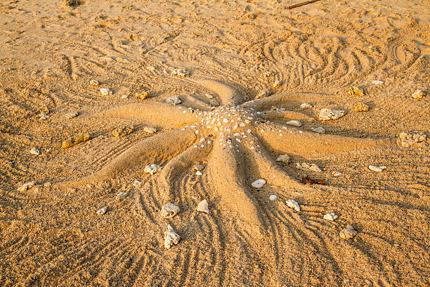 istock Starfish on the beach sand sculpture 536554443