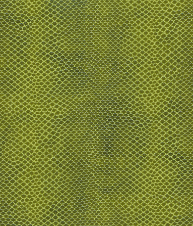 Green Snake skin Textured Background