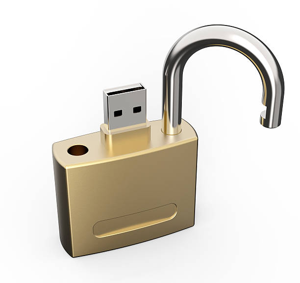 보안 usb 드라이브 - encryption usb flash drive security system security 뉴스 사진 이미지