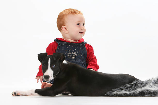 istock Baby and puppy 536556535