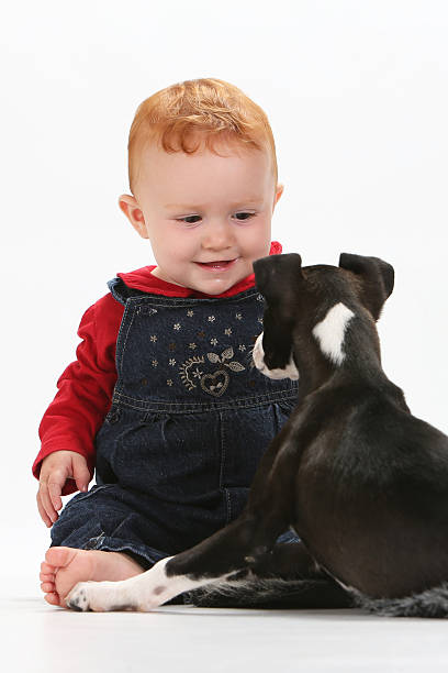 istock Baby and puppy 536556541