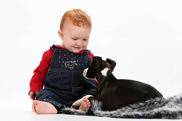istock Baby and puppy 536556543